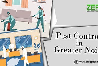 The Importance of Regular Pest Inspections in Greater Noida Properties