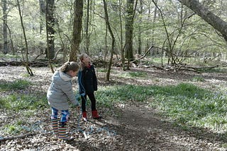 From little acorns, mighty oak trees grow