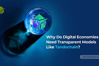 Why Do Digital Economies Need Transparent Models Like Tandochain?