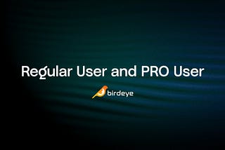 Unlocking the Power of Birdeye PRO: Regular Users vs PRO Users