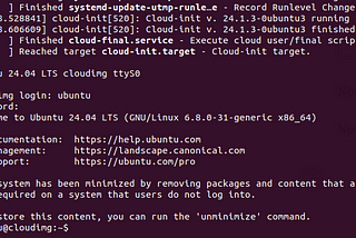 Boot an Ubuntu Cloud Image with QEMU