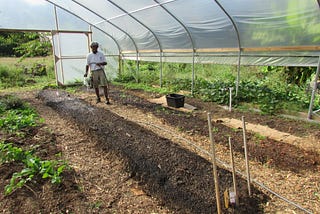 #blackfathersfarm #lifeafterdeath