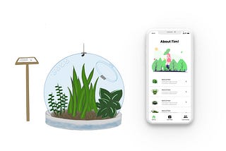 Terrari-Tim Design Case Study