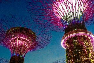 Singapore — love at first sight