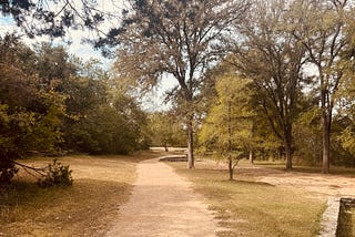 A dirt trail leads through trees.
