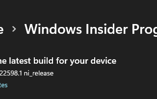 Windows 11 Insider program latest update