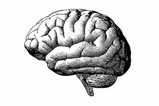 The Computation of Dopamine Neurons: Reward Prediction Error