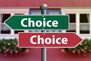 The Dance of Changing Decisions: Unravelling the Dynamics behind our Choices