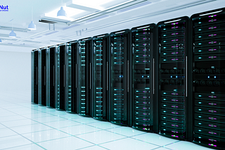 VPS vs. Shared Hosting: Which is Right for You?