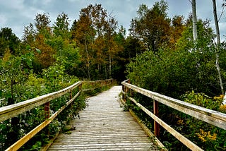Let’s talk about a nature hike experience