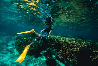 Why I’m joining Snorkel