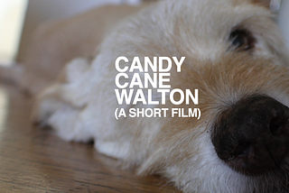 Candy Cane Walton: The Back Story