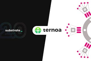 Ternoa, la blockchain qui se cache derrière le projet.