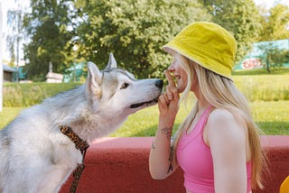 Woman dog training.