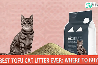 Best Tofu Cat Litter Ever
