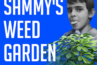 Sammy’s Weed Garden: Discovering Unexpected Beauty