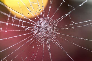 Azure FrontDoor supports WebSockets