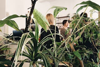 European coffee shops that nailed the indoor plant brief