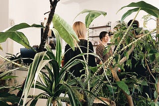 European coffee shops that nailed the indoor plant brief