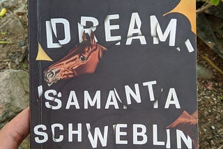 Book Review: ‘Fever Dream' by Samanta Schweblin