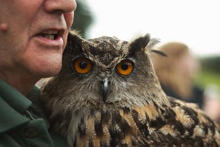 Image of an eagle owl held by a man. Not Flaco. Photo by Matt