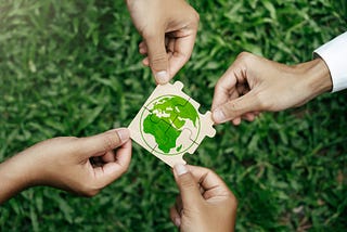 The Importance of ESG Metrics in Supporting and Screening Investments