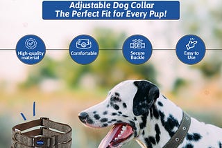 Ancol Adjustable Dog Collar