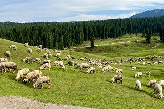 Untraveled Kashmir