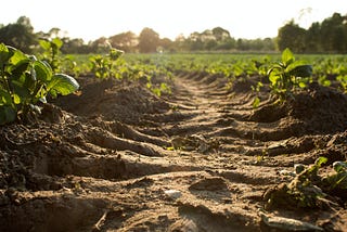 Soil erosion in farming and agriculture