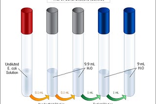A diagram showing a series of 6 test tubes. We pipetted solution between test tubes and added water to dilute further.