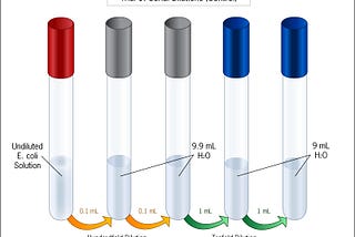 A diagram showing a series of 6 test tubes. We pipetted solution between test tubes and added water to dilute further.