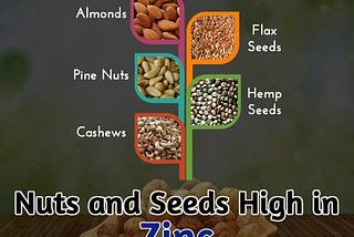 Nuts and Seeds High in Zinc