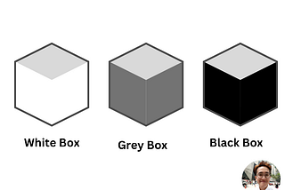 Black Box or White Box Testing? (How many boxes do you need ?)