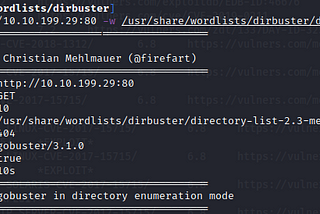 THM: Basic Pentesting