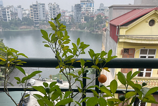 Finding the Good in “the World’s Most Polluted City”