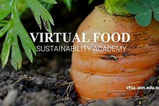 UNN-Virtual Food Sustainability Academy (VFSA) launches officially