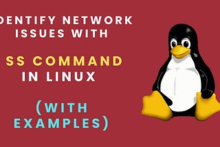 Identify network issues with SS command in Linux (with examples)