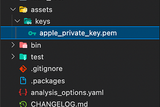 Generating Apple client_secret with Dart