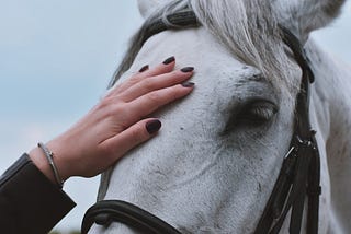 How Colliding With A Horse Almost Ruined My Friendship But Ended Up Saving It
