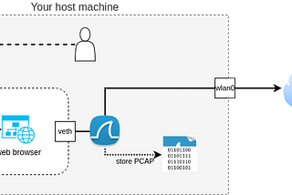 Generate and Analyze (encrypted) Web Browsing Traffic like a PRO