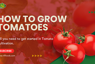 How to Grow Tomato