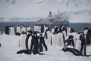 Skiing with penguins at the end of the world — part 1