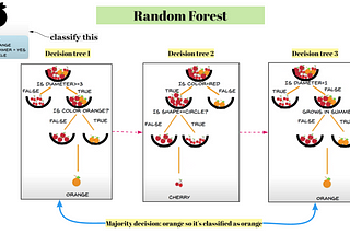 Random forests and their…not so random decisions