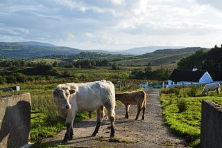 Just Transition Greens statement on a Just Transition for Agriculture
