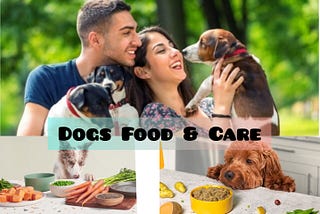 Little Known Ways to DOGS FOOD AND CARE: