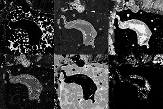 Using Machine Learning to Identify the Minerals in Meteorites