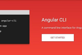 Angular CLI special cases