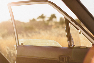 We are looking out of an open car door at a blurry wild landscape, while golden sunshine pours in.