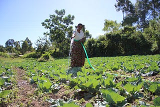 A farmer in Malawi using a Green Impact Technologies solar water pump.
