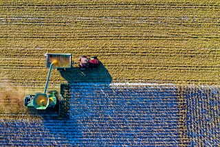 IA + Imageamento na Agricultura: O par perfeito.